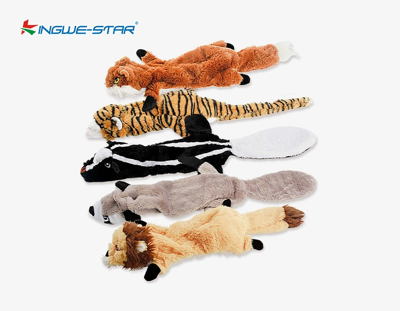 Dog Squeak Toys